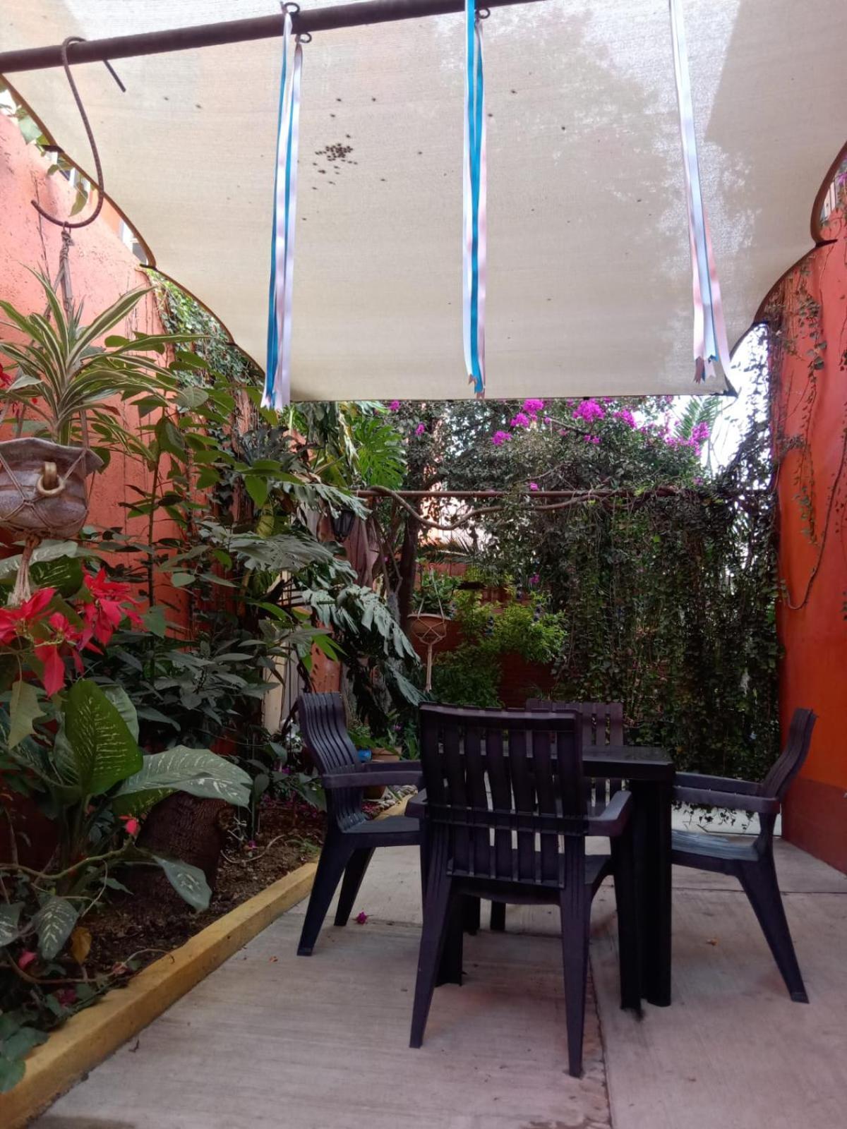 Apartamento Casa Guanab Oaxaca Exterior foto