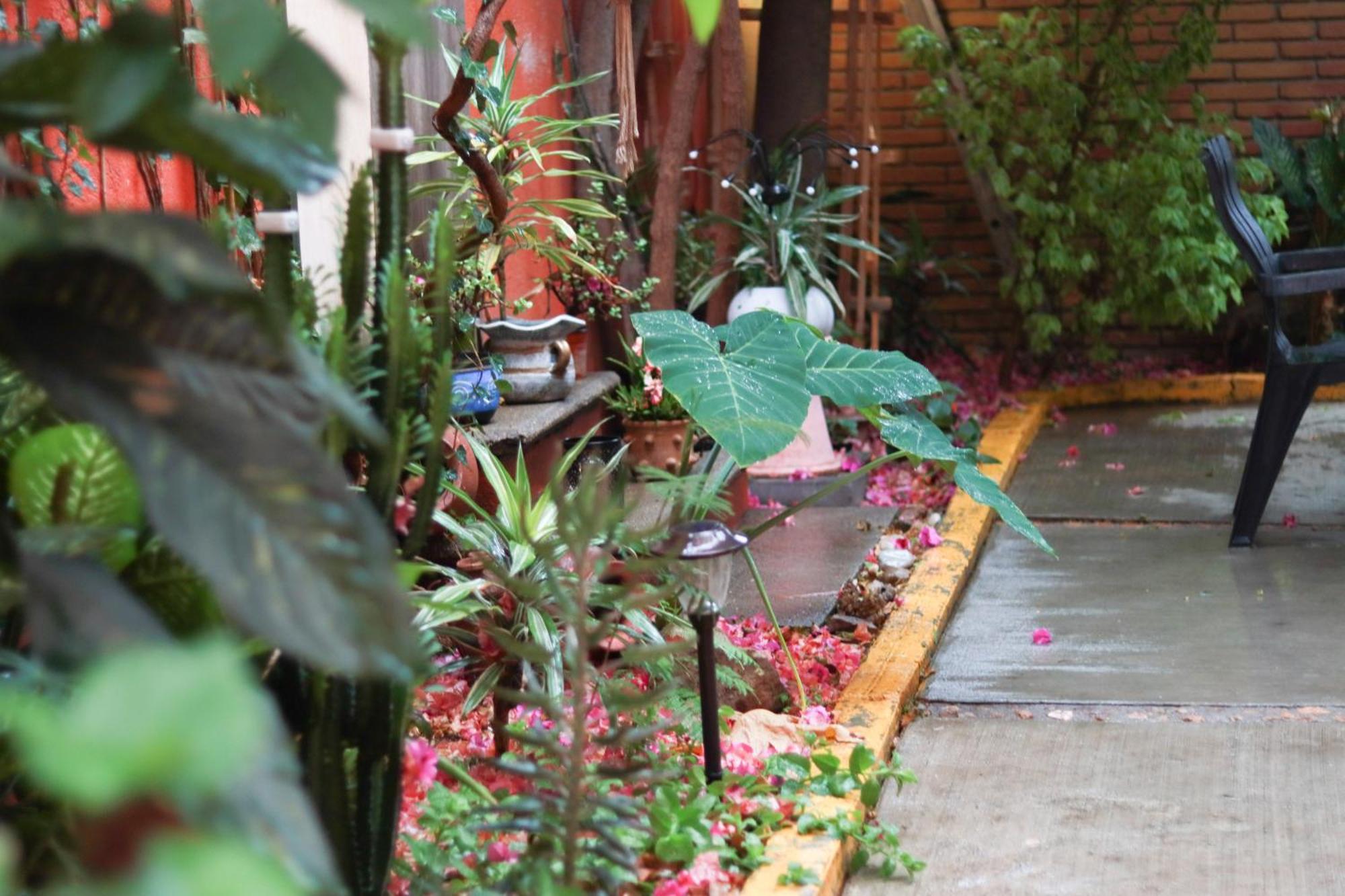 Apartamento Casa Guanab Oaxaca Exterior foto