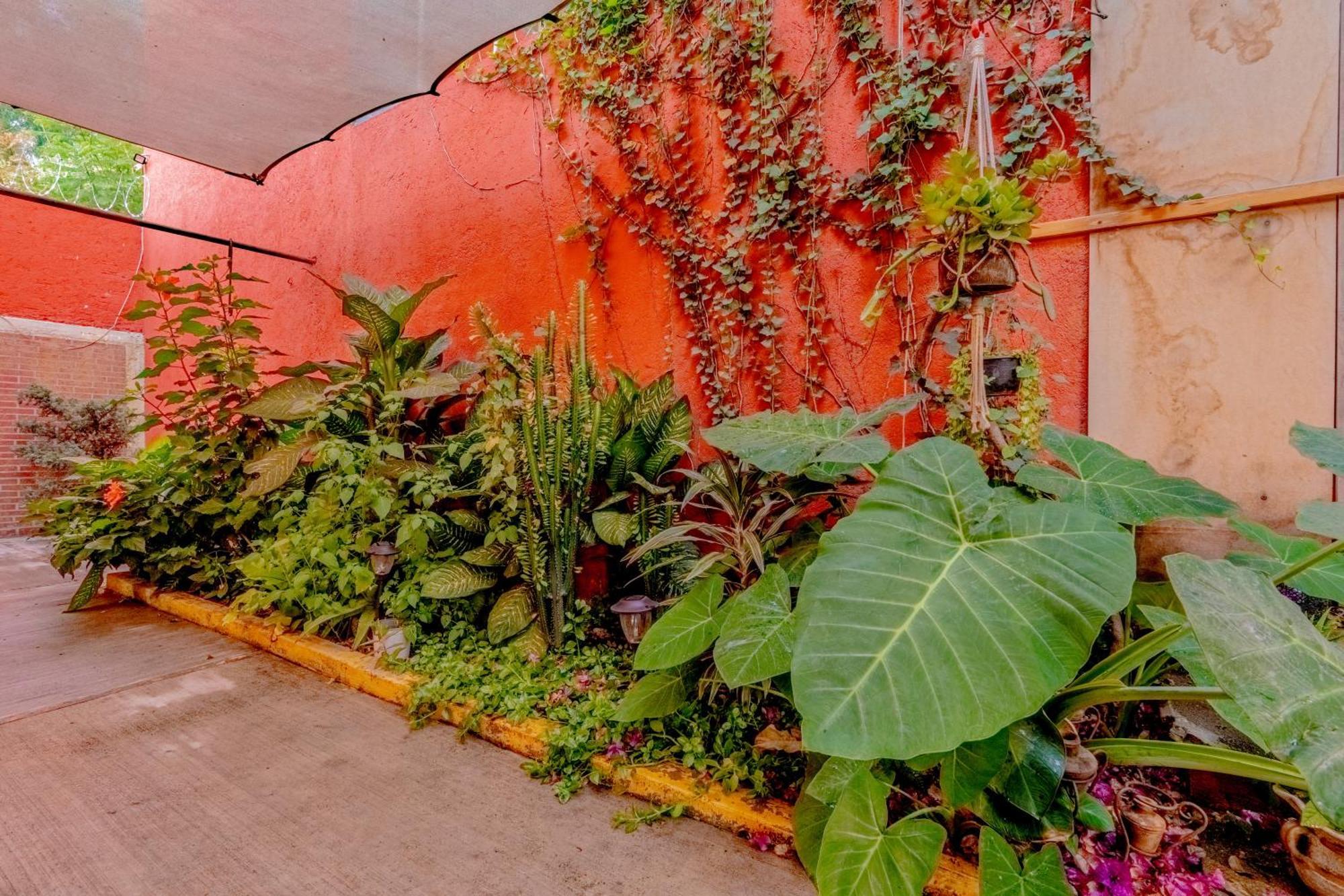 Apartamento Casa Guanab Oaxaca Exterior foto